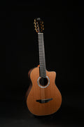 A25C - Rosewood/Cedar RD BZ (Performer Series)